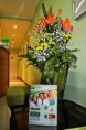 /album/seu-sorriso-em-primeiro-lugas/diverdas2012-747-jpg/